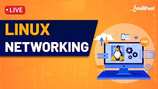 Linux Networking  Linux Networking Commands  Linux Networking Tutorial  Intellipaat [upl. by Ahtel971]