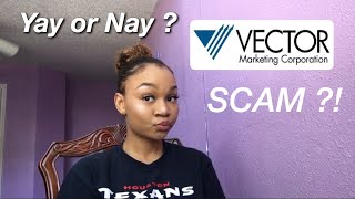 VECTOR MARKETING  CUTCO A SCAM [upl. by Alyled]