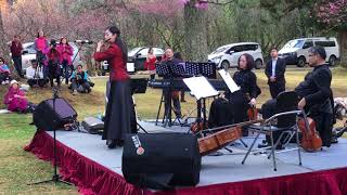 台灣笛子名曲 董榕森《陽明春曉》 笛子：神笛公主吳佳蓁 Spring Dawn at YangMing Mountain dizi played by Novia Wu [upl. by Gallard28]