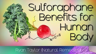 Sulforaphane Benefits for Health [upl. by Assillem]