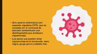 Toxinas naturales en los alimentos [upl. by Ellatsyrc668]