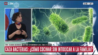 TOXICOLOGÍA de los ALIMENTOS Las BACTERIAS en la COCINA [upl. by Amargo]