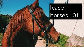 everything you need to know about leasing a horse [upl. by Athenian]