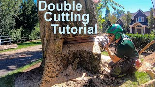 Double Cut Tutorial How to fell a tree thats bigger than your bar [upl. by Ntisuj397]