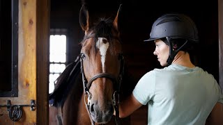 Leasing a Horse Pros and Cons [upl. by Cairistiona]