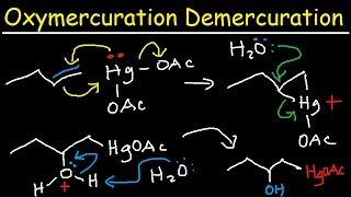 Oxymercuration Demercuration Mechanism of Alkenes amp Alkoxymercuration Reaction Organic Chemistry [upl. by Karub526]