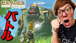 【ゼルダの伝説】ヒノックスampスタルヒノックスに挑む！ ヒカキンのゼルダの伝説ブレスオブザワイルド実況 Part14 [upl. by Effie]