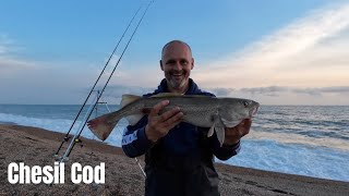 Beach Fishing  Chesil  Cod [upl. by Nally]