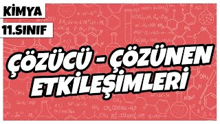 11 Sınıf Kimya  Çözücü  Çözünen Etkileşimleri  2022 [upl. by Sprung]