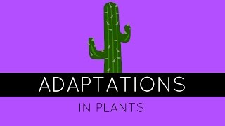 Adaptations in Plants  How Do Plants Adapt To Different Climates  GCSE Biology [upl. by Odey]