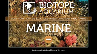 BIOTOPE AQUARIUM Project – MARINE [upl. by Ahseekal]