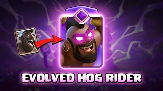 EVOLVED HOG RIDER  Clash Royale [upl. by Larrabee]