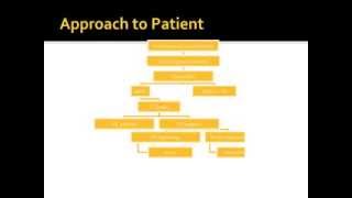 Interpretation of Pleural Effusion Analysis [upl. by Johm]