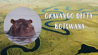 Okavango Delta  Botswana [upl. by Arza]