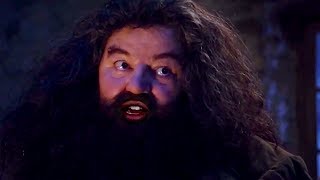 If Hagrid Had Stopped At The Wrong House First [upl. by Brear]