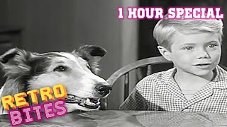 Lassie  1 Hour Special  Full Episodes [upl. by Clementi]