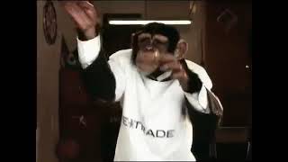 ETrade  Monkey Super Bowl Ad [upl. by Boor659]