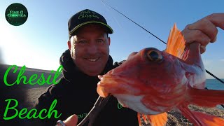 Chesil Beach Fishing August 2022 [upl. by Atires]