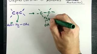 Alkene to Alcohol Oxymercuration Mechanism [upl. by Gove]