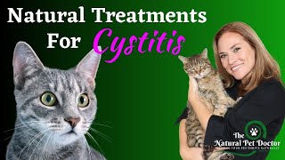 What is cystitis  Patient Explainers [upl. by Leesa]