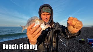 Beach Fishing  Chesil  Black Bream [upl. by Babb]