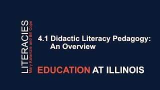 41 Didactic Literacy Pedagogy An Overview [upl. by Anole]