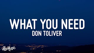 Don Toliver  What You Need Lyrics [upl. by Far150]