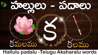 HALLULU PADALU  How to Write Telugu hallulu With WORDS  learn telugu words  Telugu vanam [upl. by Edmund]