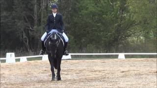 Prelim 11 dressage [upl. by Bach]