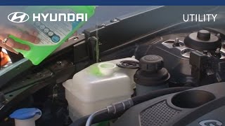 Hyundai  myHyundai  How To Check And Fill Coolant [upl. by Nnahgaem836]