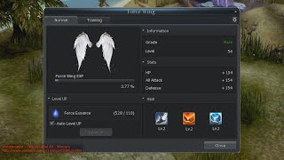 Force wings system explained  Cabal Online [upl. by Eanwahs]