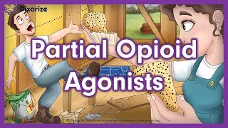 Partial Opioid Agonists Mnemonic for USMLE [upl. by Seligman303]