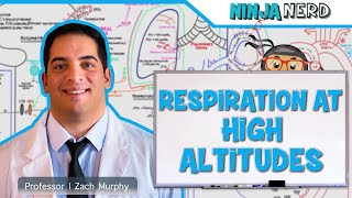 Respiratory  Respiration at High Altitudes [upl. by Willette]