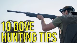 10 Dove Hunting Tips [upl. by Eirrak]