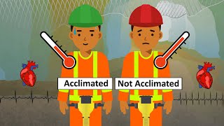 Heat Acclimatization Overview [upl. by Salesin]