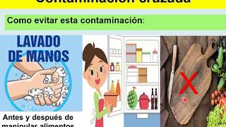 BROMATOLOGIA Contaminación de los Alimentos [upl. by Marijo218]