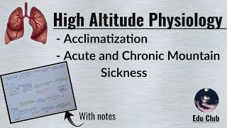 High Altitude Physiology  Acclimatization  Mountain sickness  Respiratory Physiology [upl. by Alahsal]