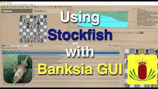 Using Stockfish chess with Banksia GUI [upl. by Carmita616]