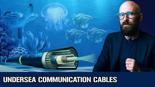 Undersea Communication Cables [upl. by Eisse514]