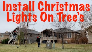 How to Install Christmas Lights on Trees [upl. by Enelez]