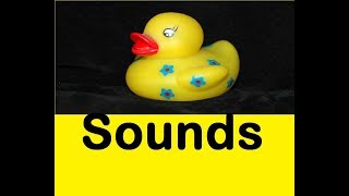 Squeaky Toy Sound Effects All Sounds [upl. by Idisahc]