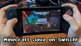 Minecraft Java On Nintendo Switch TUTORIAL [upl. by Silva]