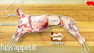 How to Butcher an Entire Lamb Every Cut of Meat Explained  Handcrafted  Bon Appetit [upl. by Ahsiema]