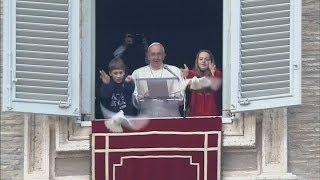 Popes peace doves attacked by crow and seagull [upl. by Subir69]