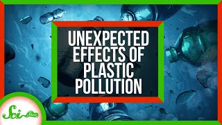 3 Unexpected Effects of Plastic Pollution [upl. by Noillid]