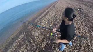 Mackerel Mayhem Montage  Mackerel Fishing At Chesil Beach [upl. by Aiseneg]