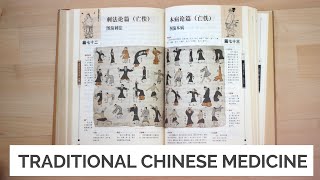 Traditional Chinese Medicine For Beginners [upl. by Mendoza]