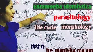 Entamoeba Histolytica  Life Cycle  Morphology  Parasitology By Manisha Maam [upl. by Nirual]