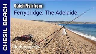 Catch Fish from Chesil Beach FERRYBRIDGE  The Adelaide [upl. by Esnofla211]