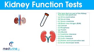 Kidney Function Tests and Interpretation of Results [upl. by Atteloc679]